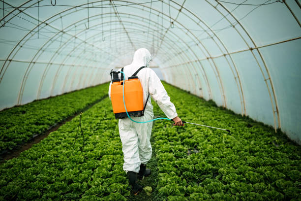 Best Pest Removal Services  in Highland, NY