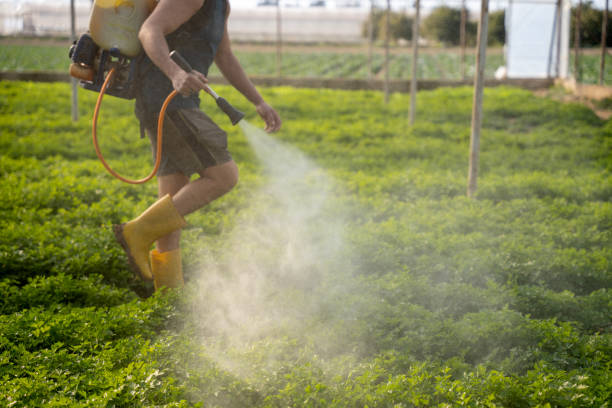 Best Mosquito Control Services  in Highland, NY