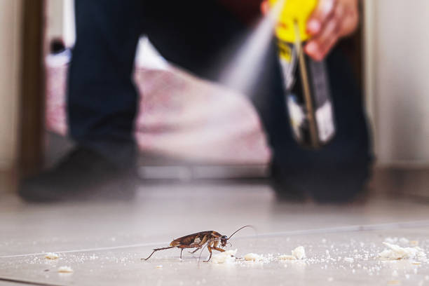 Best Spider Control Near Me  in Highland, NY